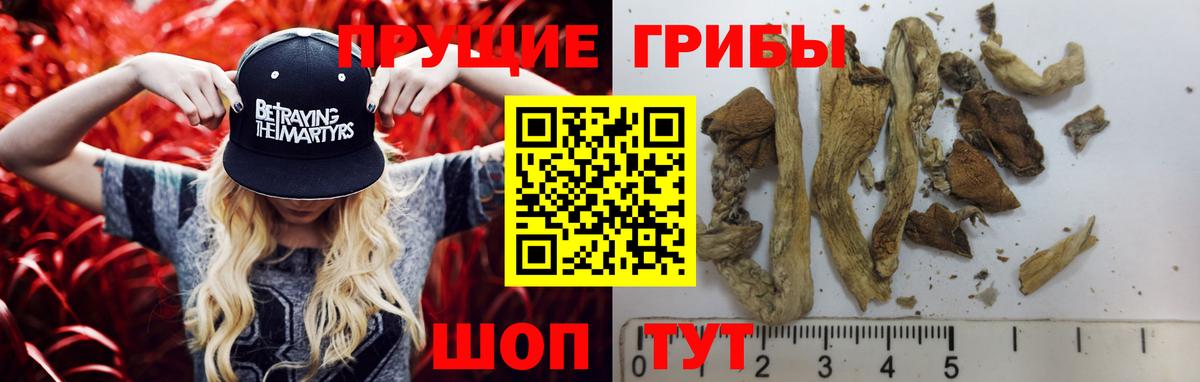 Псилоцибиновые грибы прущие грибы Сафоново